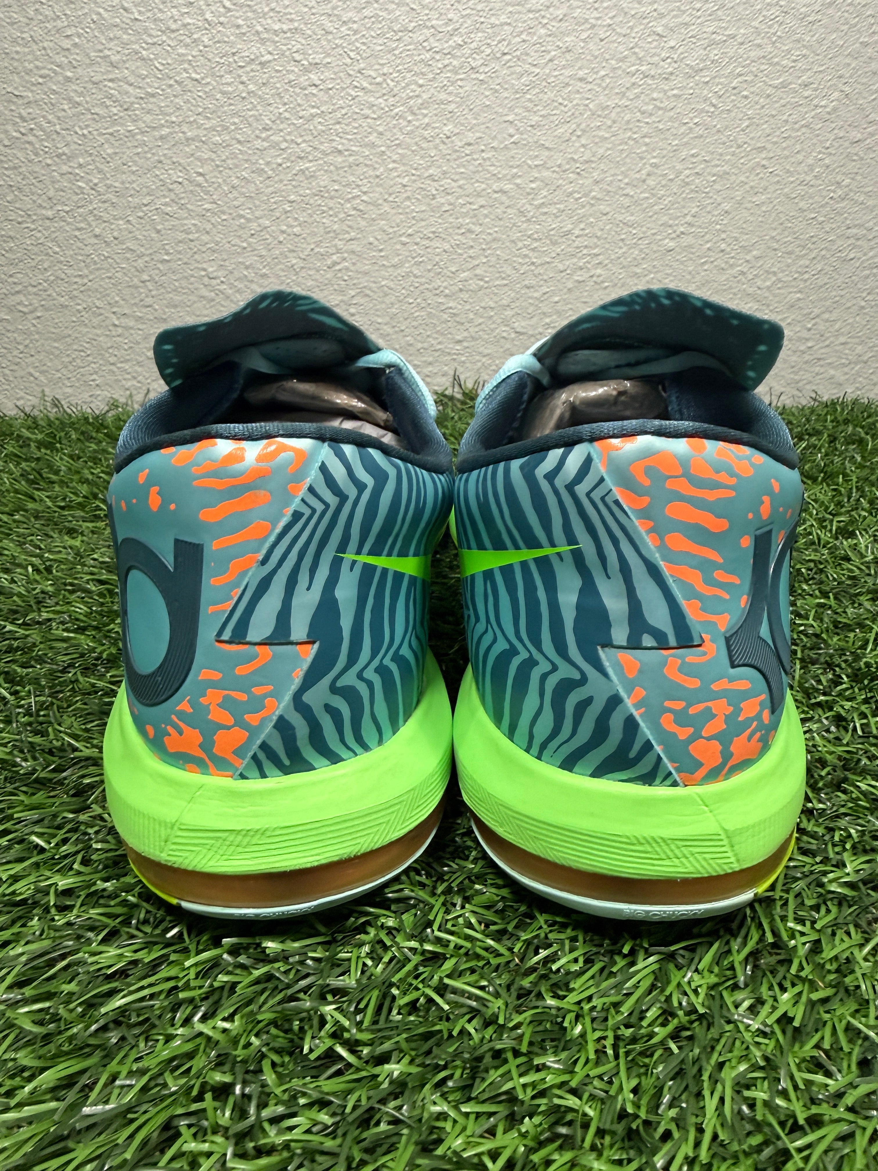 KD 6 “Liger” (Size 12)