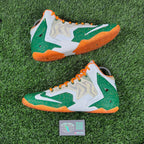 LeBron 11 ID “Kermit & Fozzie” (Size 11)