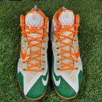 LeBron 11 ID “Kermit & Fozzie” (Size 11)