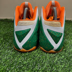 LeBron 11 ID “Kermit & Fozzie” (Size 11)