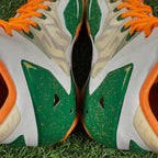 LeBron 11 ID “Kermit & Fozzie” (Size 11)