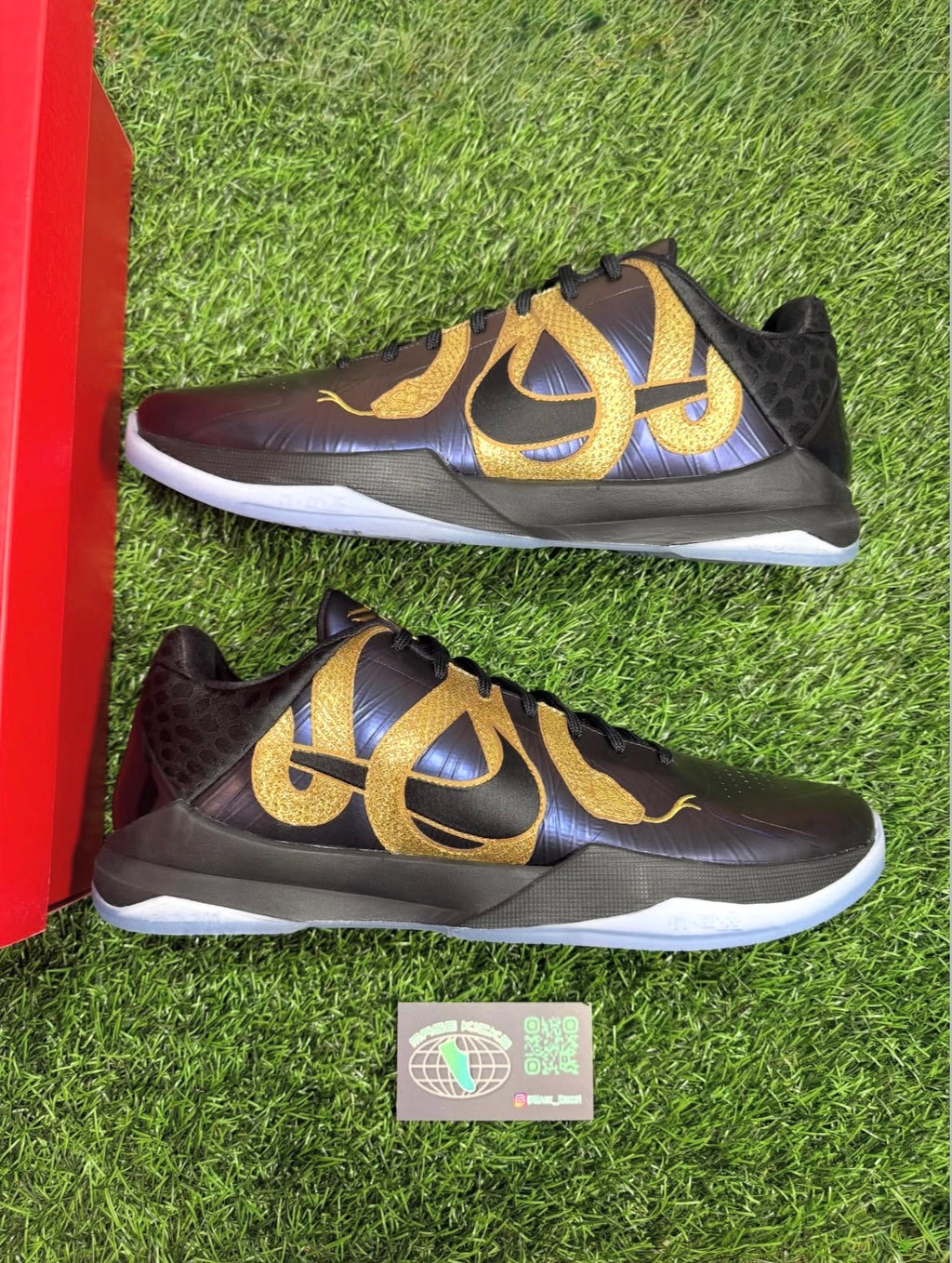Kobe 5 “Eggplant” (Size 10)