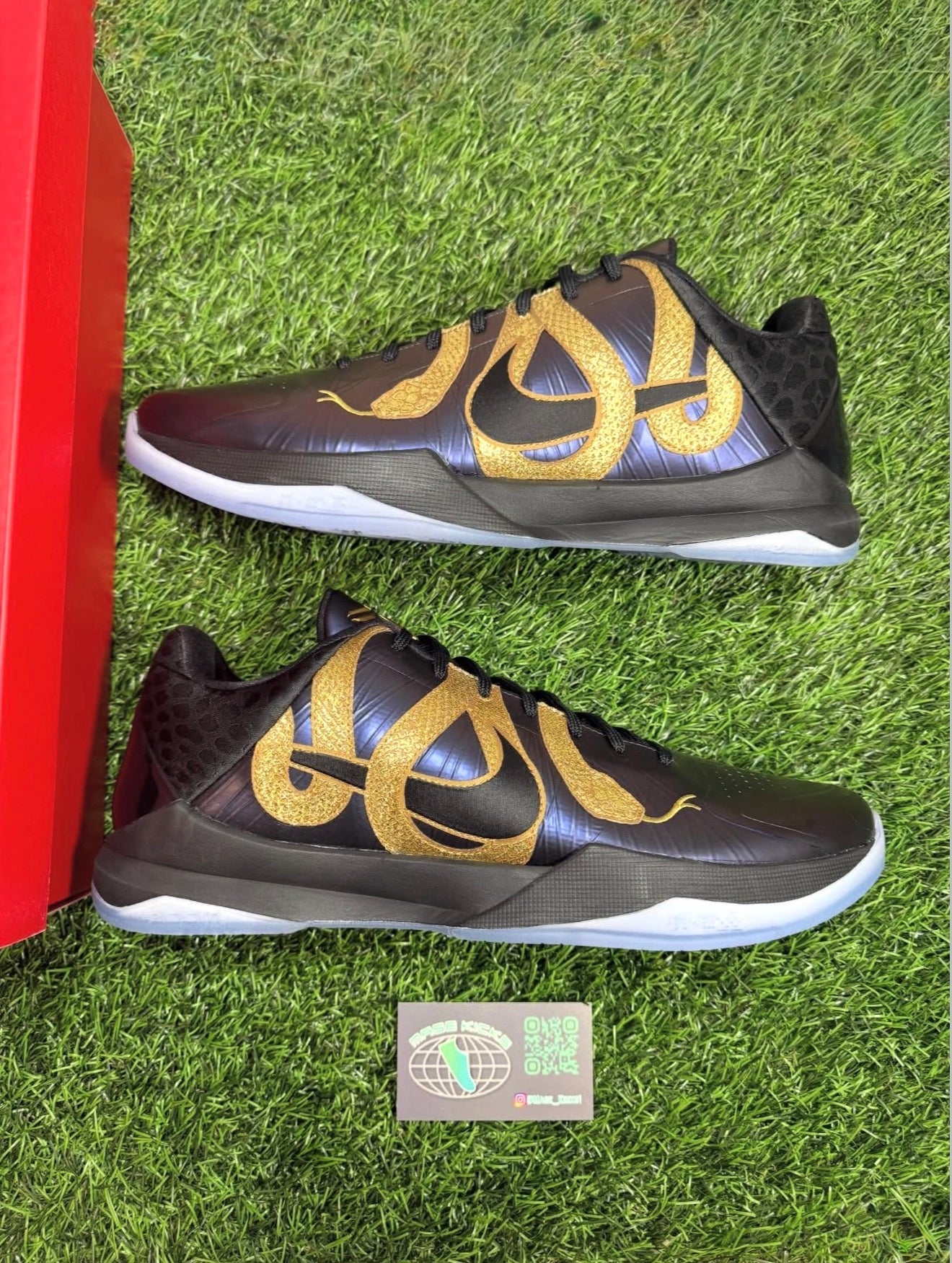 Kobe 5 “Eggplant” (Size 10)