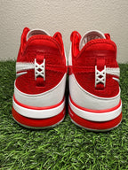 LeBron NXXT Gen TB Red (Size 14)