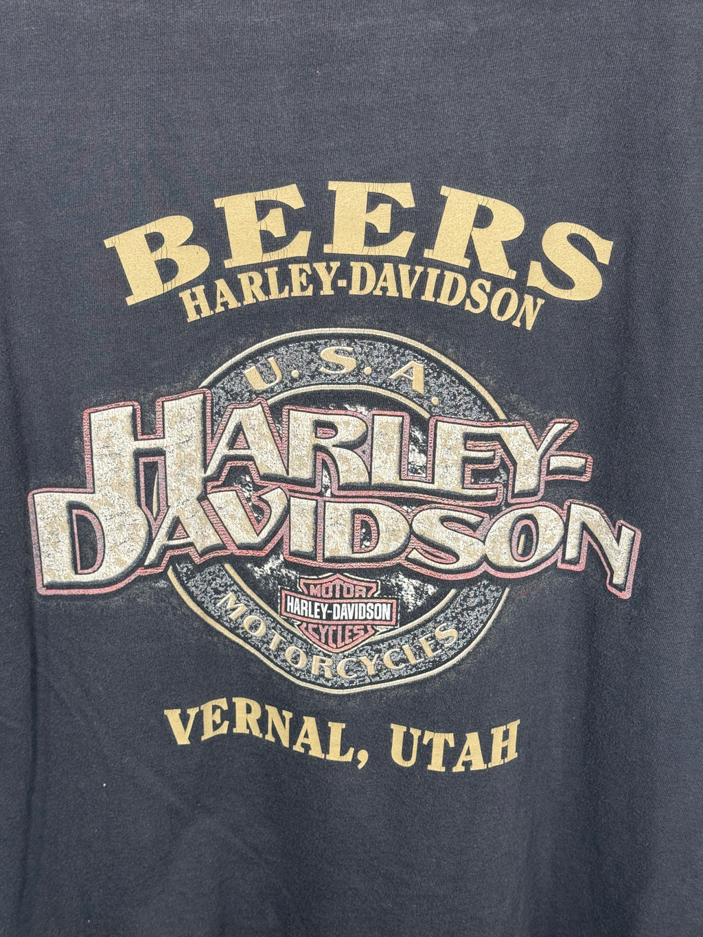 Harley Davidson USA Tee (Large)