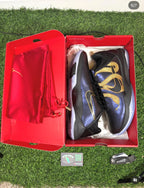 Kobe 5 “Eggplant” (Size 10)
