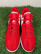LeBron NXXT Gen TB Red (Size 14)