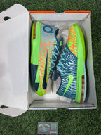KD 6 “Liger” (Size 12)
