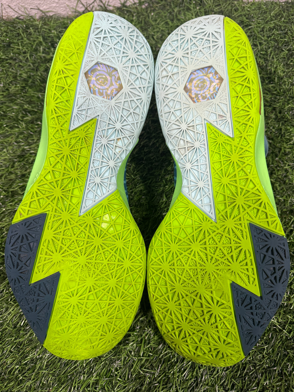 KD 6 “Liger” (Size 12)