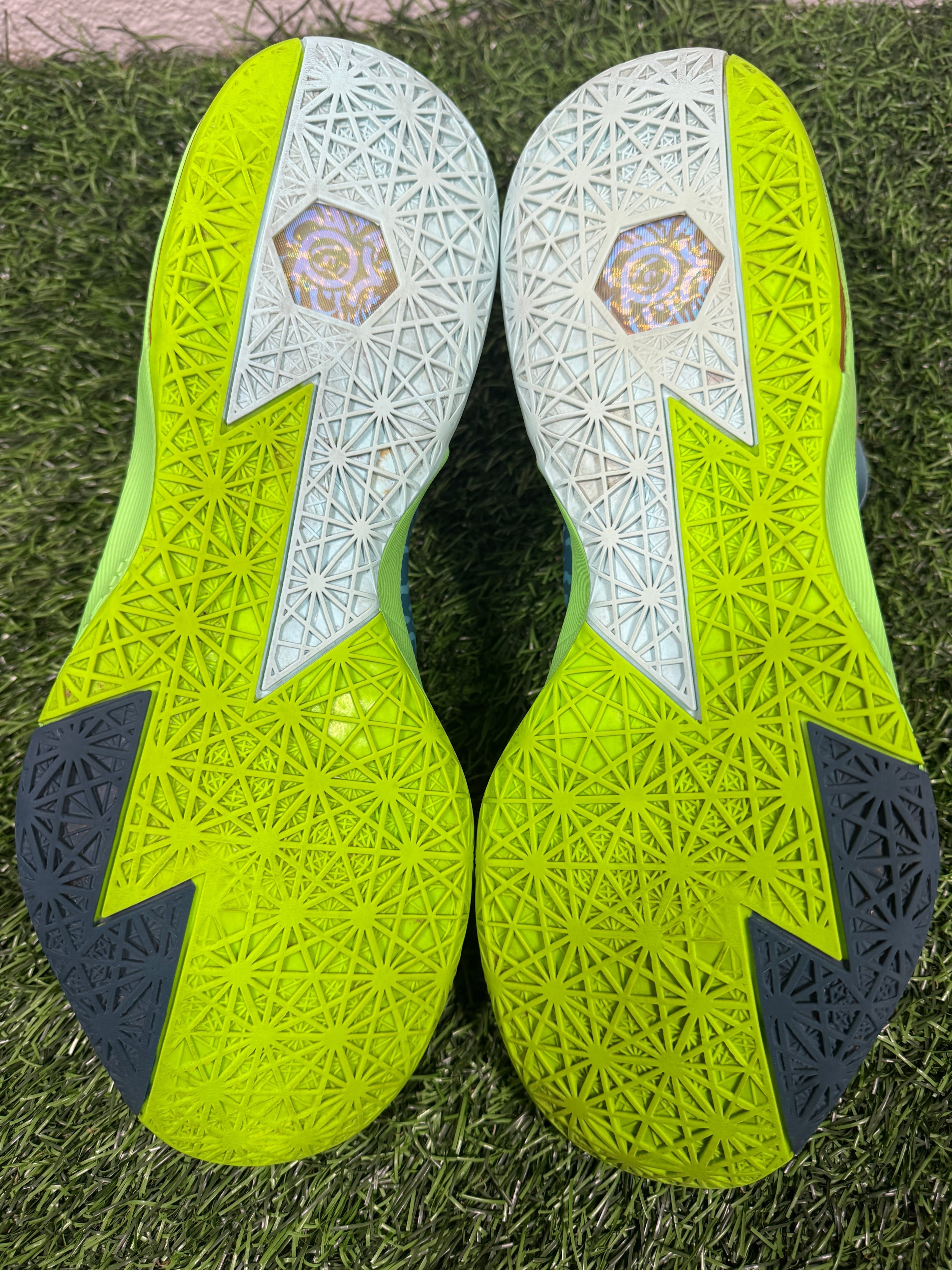 KD 6 “Liger” (Size 12)