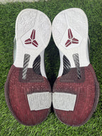 Kobe 5 “Lower Merion” (Size 14)